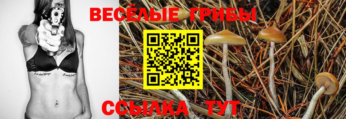 Псилоцибиновые грибы Psilocybine cubensis Подольск